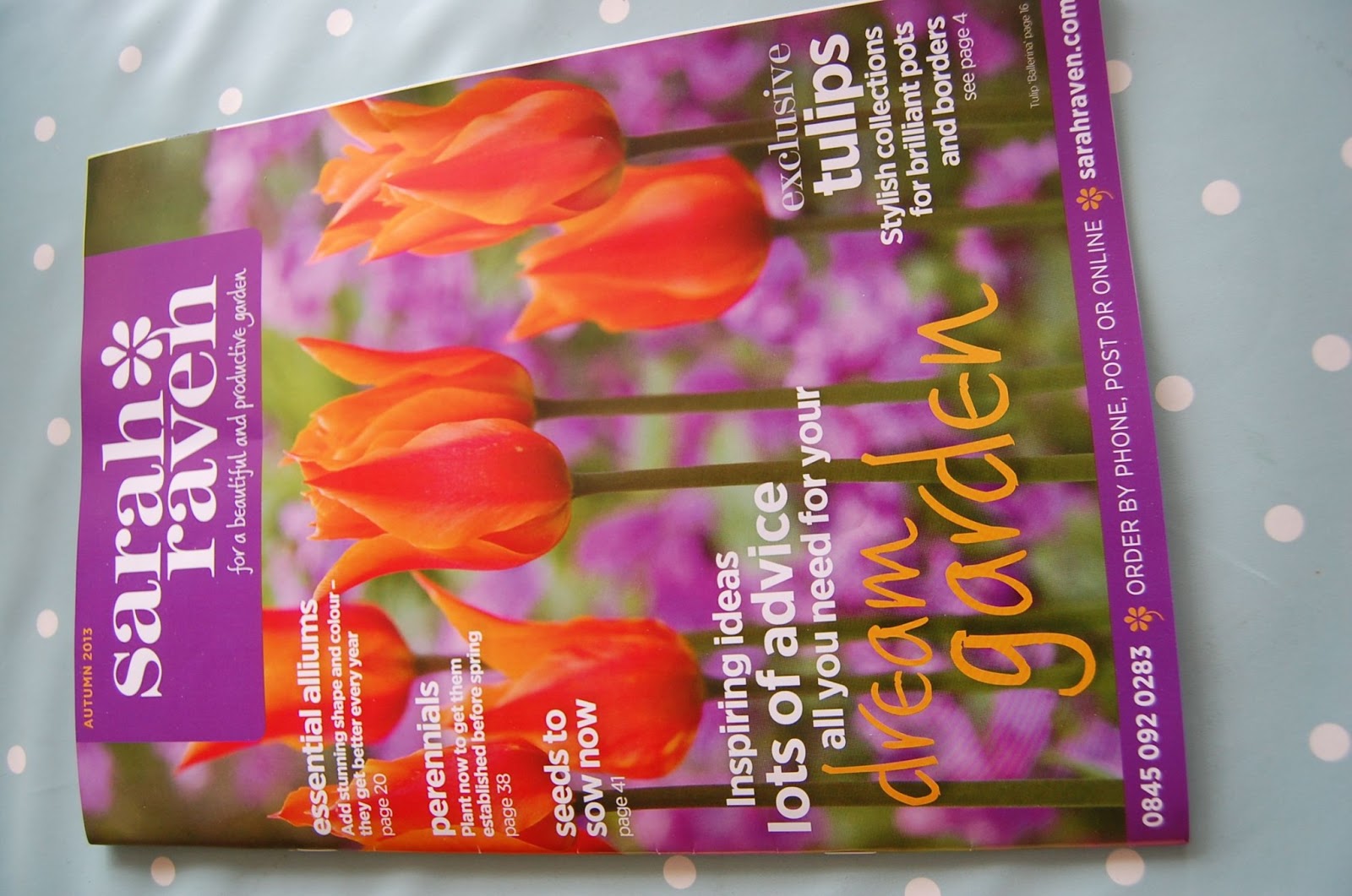 LONDON GARDENING UNDER DIFFICULTY SARAH RAVEN 'FOR A BEAUTIFUL AND PRODUCTIVE GARDEN'