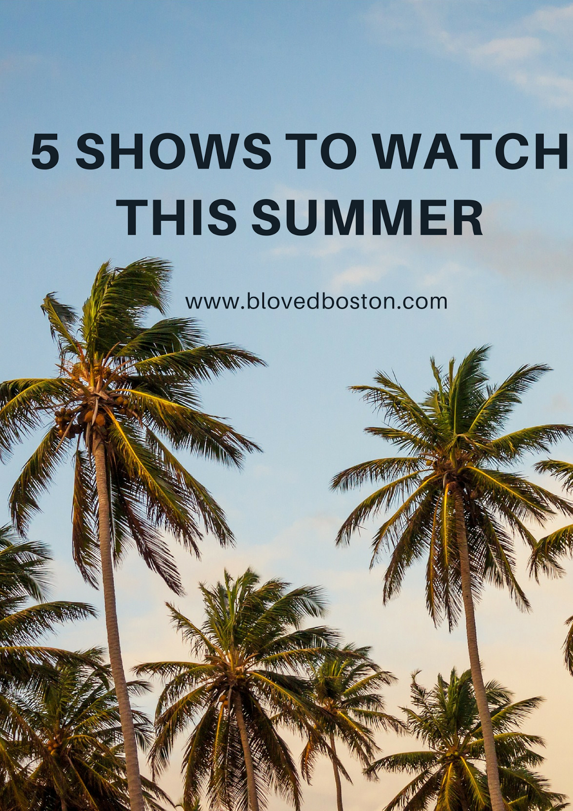 5 Shows You Should Watch This Summer