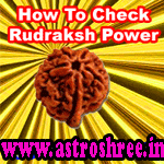 What To Do To Check Original Rudraksh?
