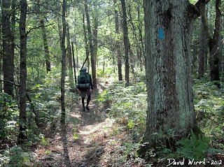follow blue markers trail, michigan national forest trail, hiking