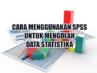Contoh Skripsi Yang Menggunakan Data Spss