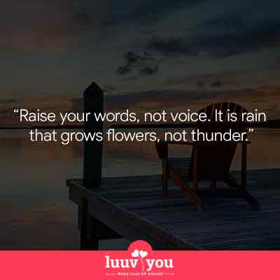 new Rumi Quotes