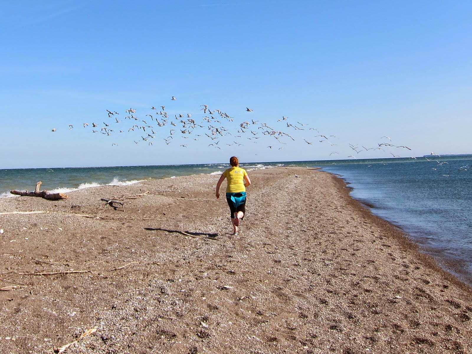Pelee island half marathon 2014 photo bomb Pelee island half marathon 2014 photo bomb
