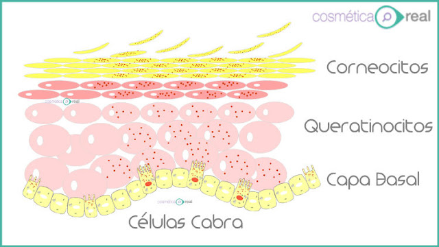 pH y melasma