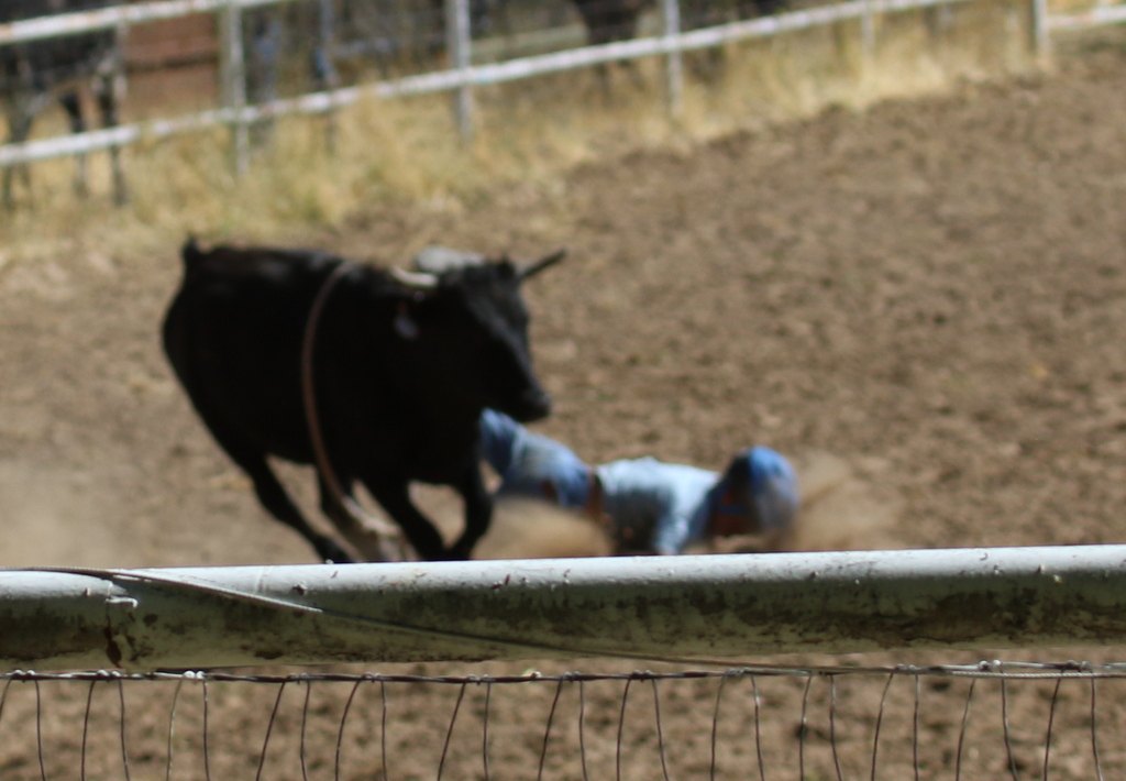 Desert Survivor Labor Day Kids Rodeo at Leamardo Days, Leamington, Utah