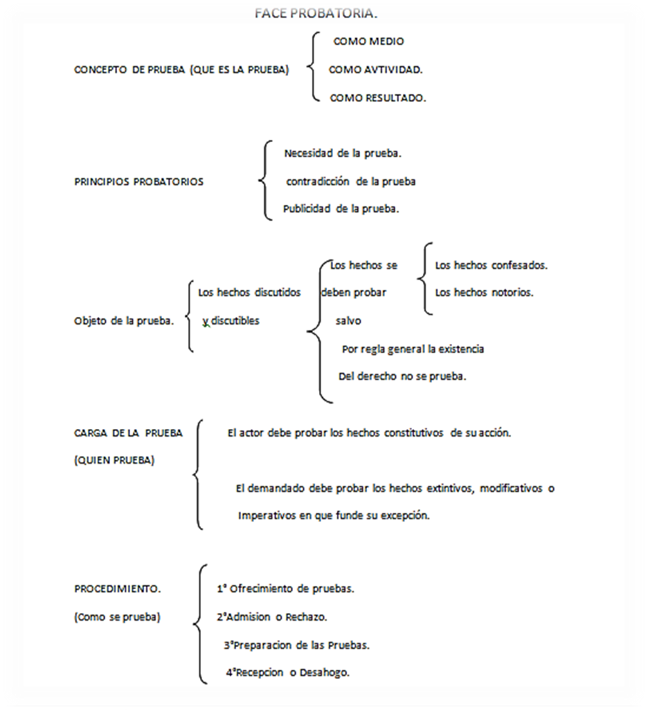 procesal civil fase probatoria