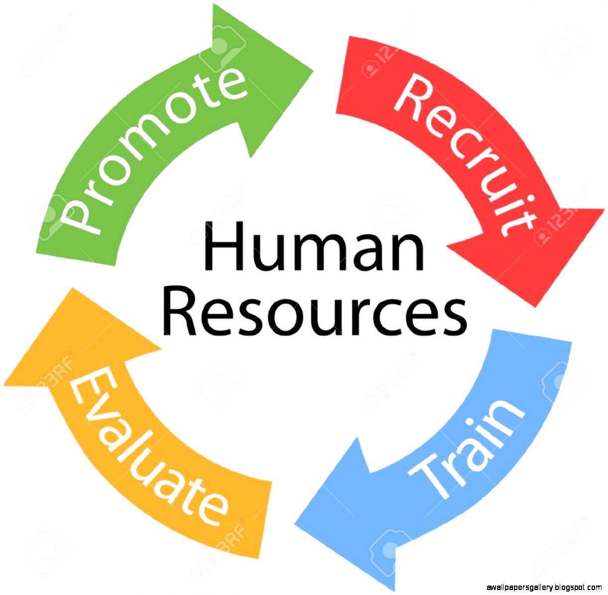 human-resources-clip-art-wallpapers-gallery