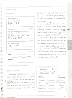 RockStar Reading Blog: Assessment and Intervention