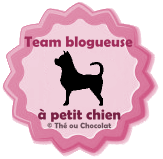 Team Blogueuse