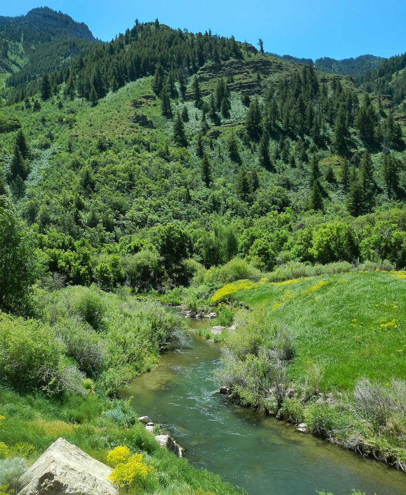 FORREST GLADDING Fly Fishing Blacksmith Fork