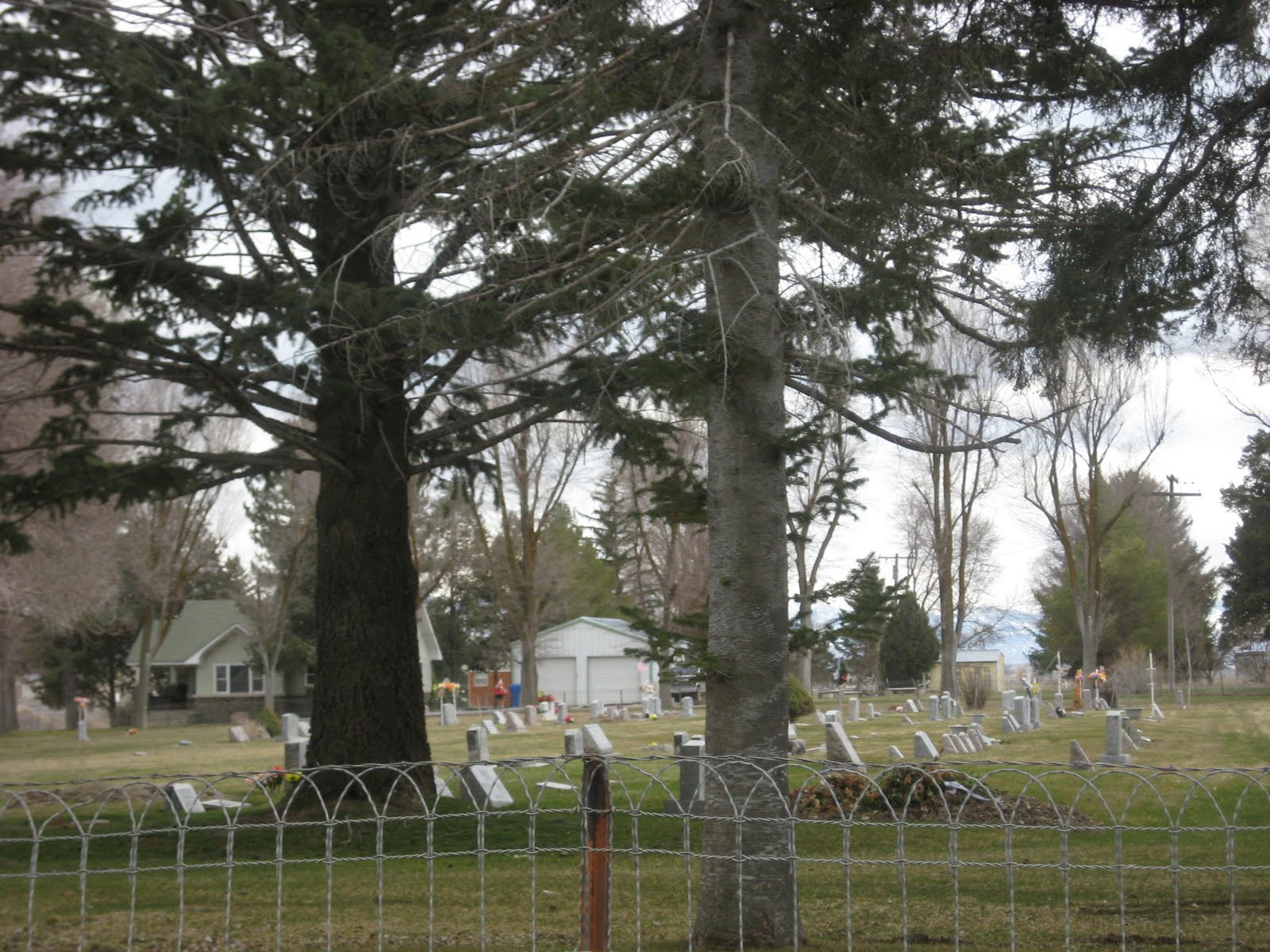 Shell's Photo Album Arimo, Idaho