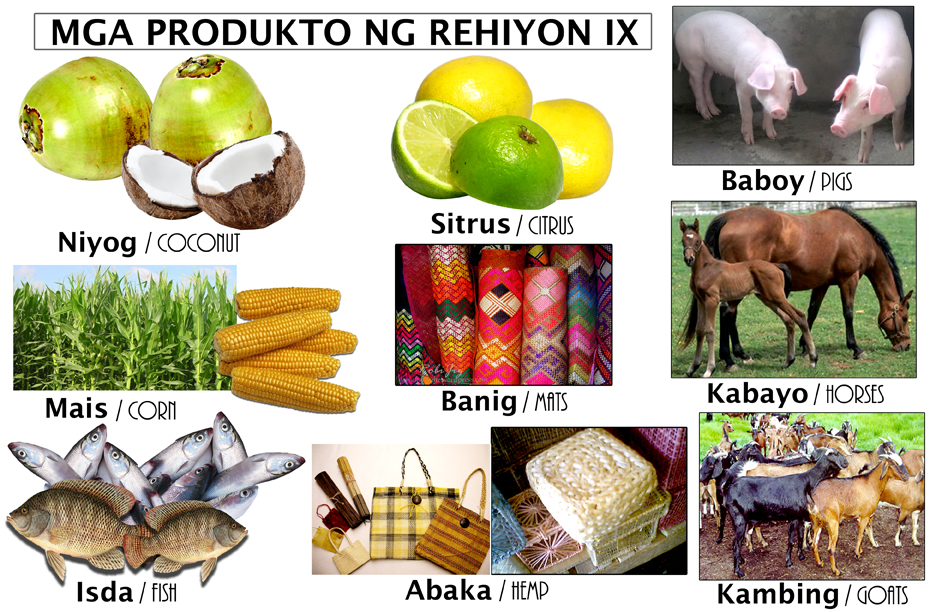 Mga Produkto Ng Rehiyon Rehiyon Ix