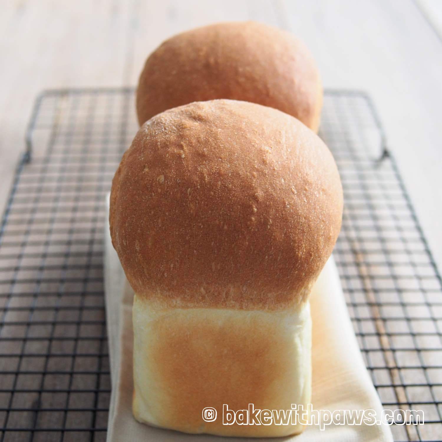 Shokupan Loaf Pan