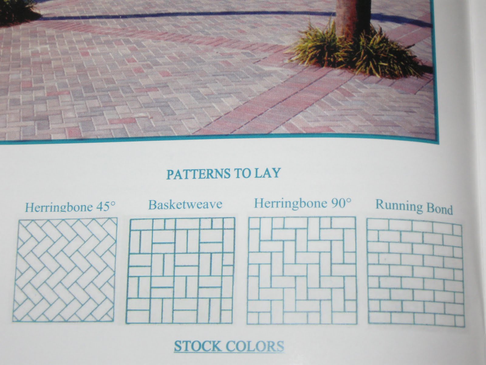 Gardening From the Ground Up: LAYING DOWN THE (PAVER) LAW