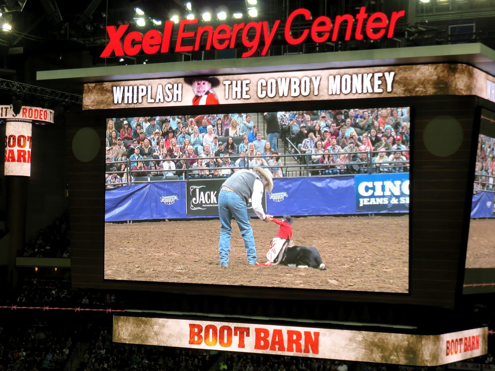 Todd Swank World's Toughest Rodeo in St. Paul, Minnesota