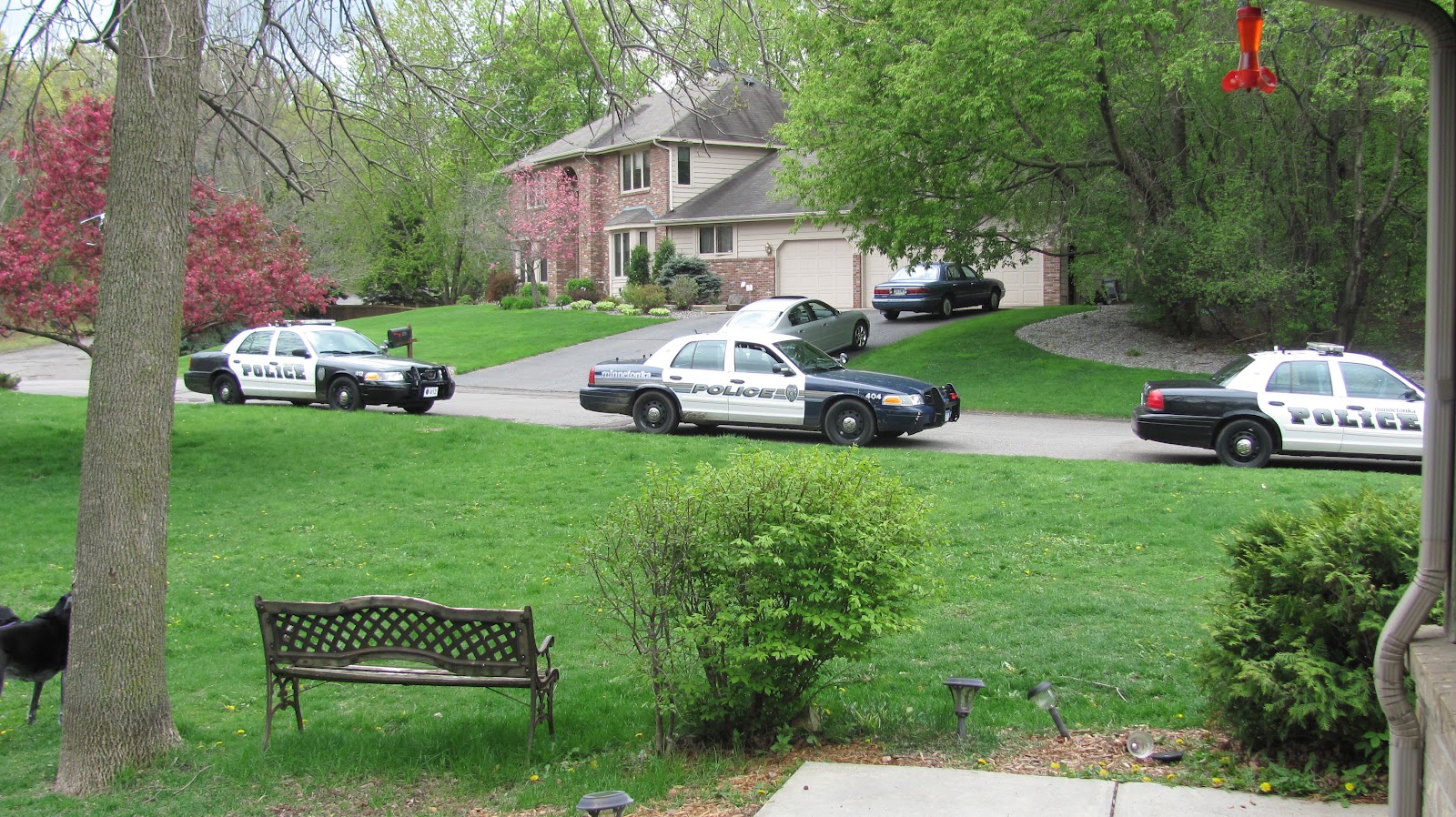 "Stoopin It" In the Suburbs Driving Into My Culdesac Say What?