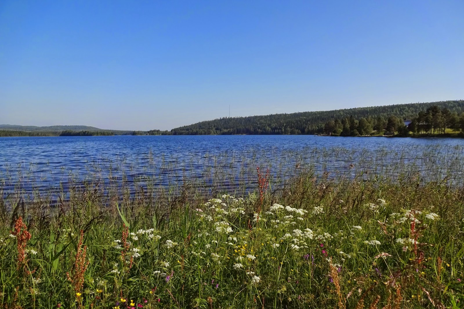 Laufend unterwegs: Sightseeing-Jogging