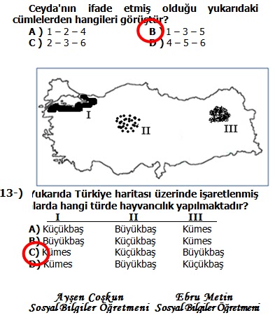 Yaşayan irade formları ücretsiz indir.