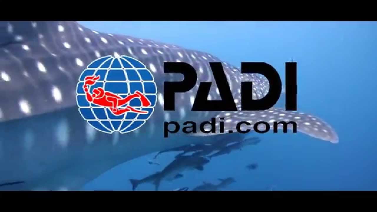 Professional Association of Diving Instructors