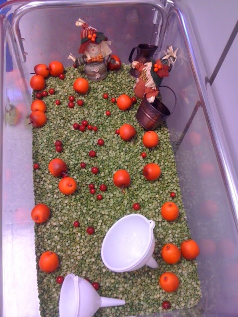 Lesson Plans and Lollipops: Sensory Table Ideas