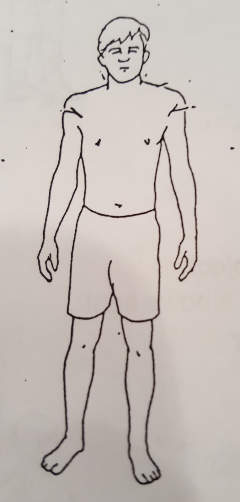 Chapter 14's Journey Physical Therapy and Posture