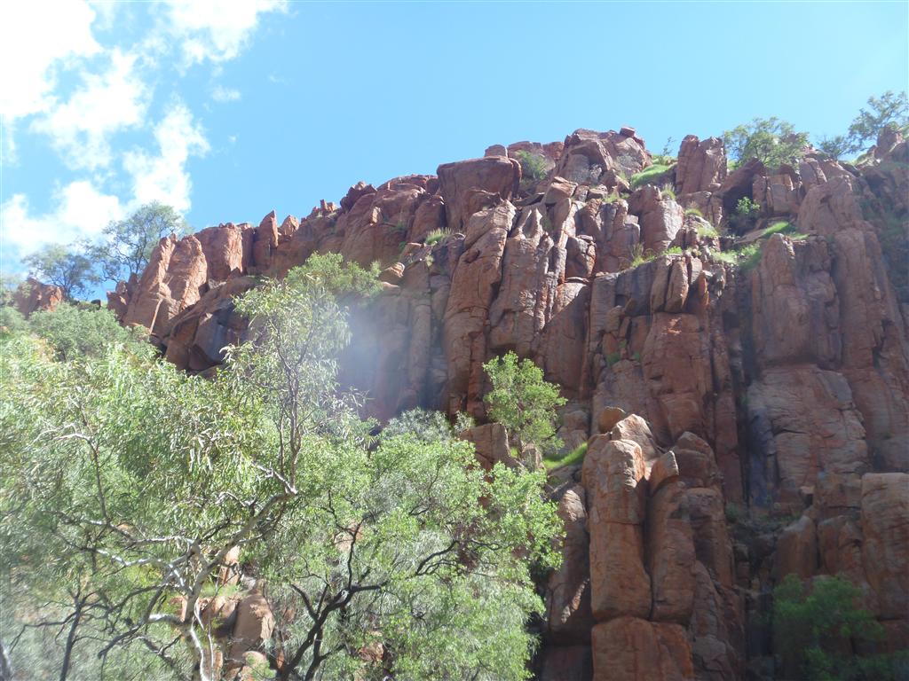 Scubavet Python Pool and Red Dog