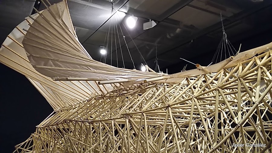 Exposición Exhibition Fundación Telefónica. 