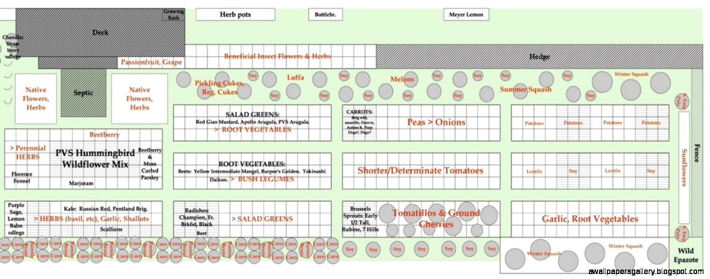 Vegetable Garden Plans  Industry Standard Design