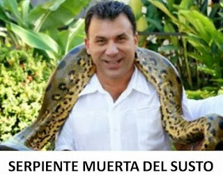 SERPIENTE+MUERTA+DEL+SUSTO