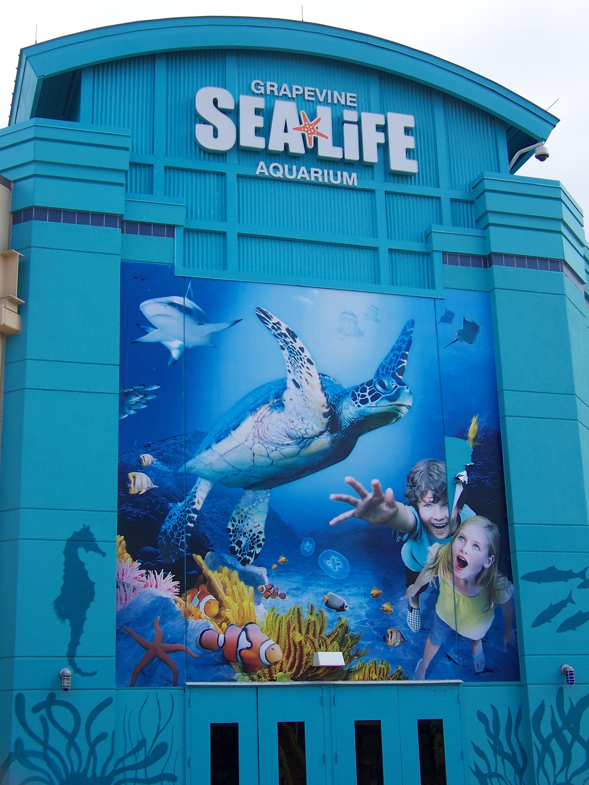 Family Entertainment in North Texas Sea Life Aquarium in Grapevine, TX