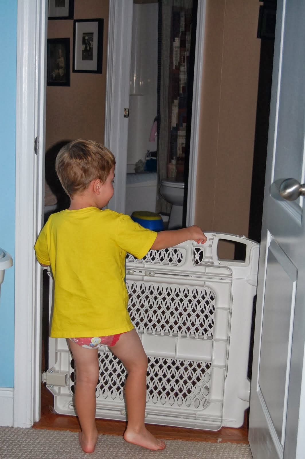 McMotte Temper Tantrum Turtle