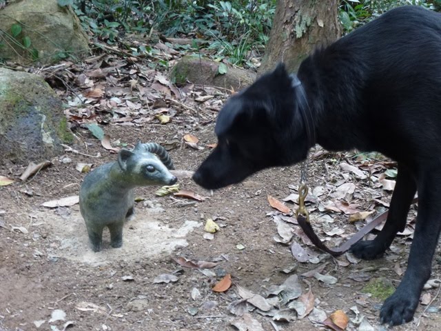 LUPIKONA: Hong Kong Wild Animals