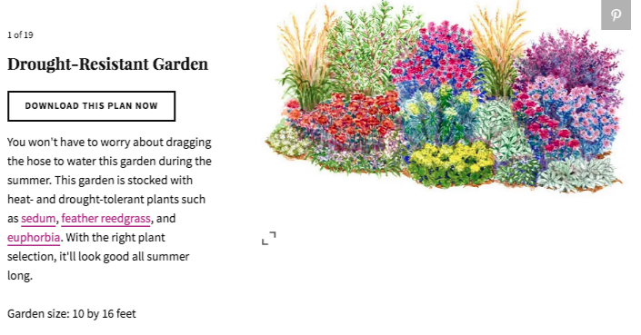 15 No Fuss Gardens Plans To Try In Your Garden Naveen Vadlamudi