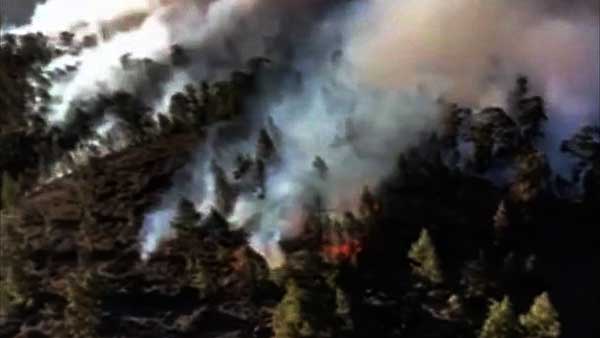 El incendio forestal de Granadilla,Tenerife, estabilizado El incendio forestal de Granadilla,Tenerife, estabilizado