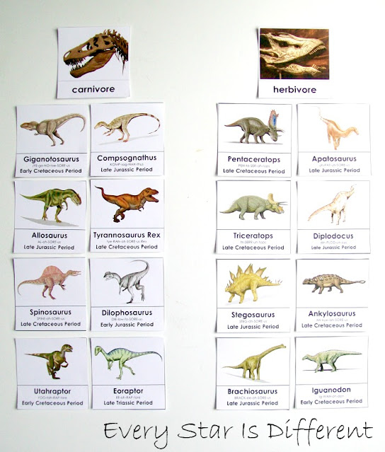 Dinosaur Carnivore & Herbivore Sort