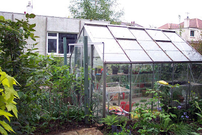 greenhouse,