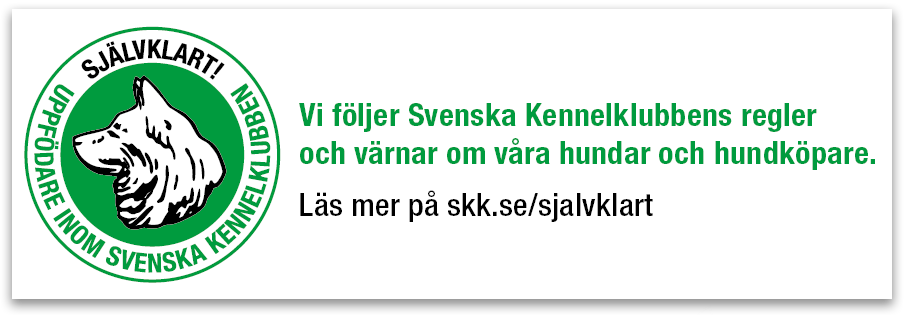 Svenska Kennelklubben