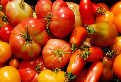 dania z pomidorów