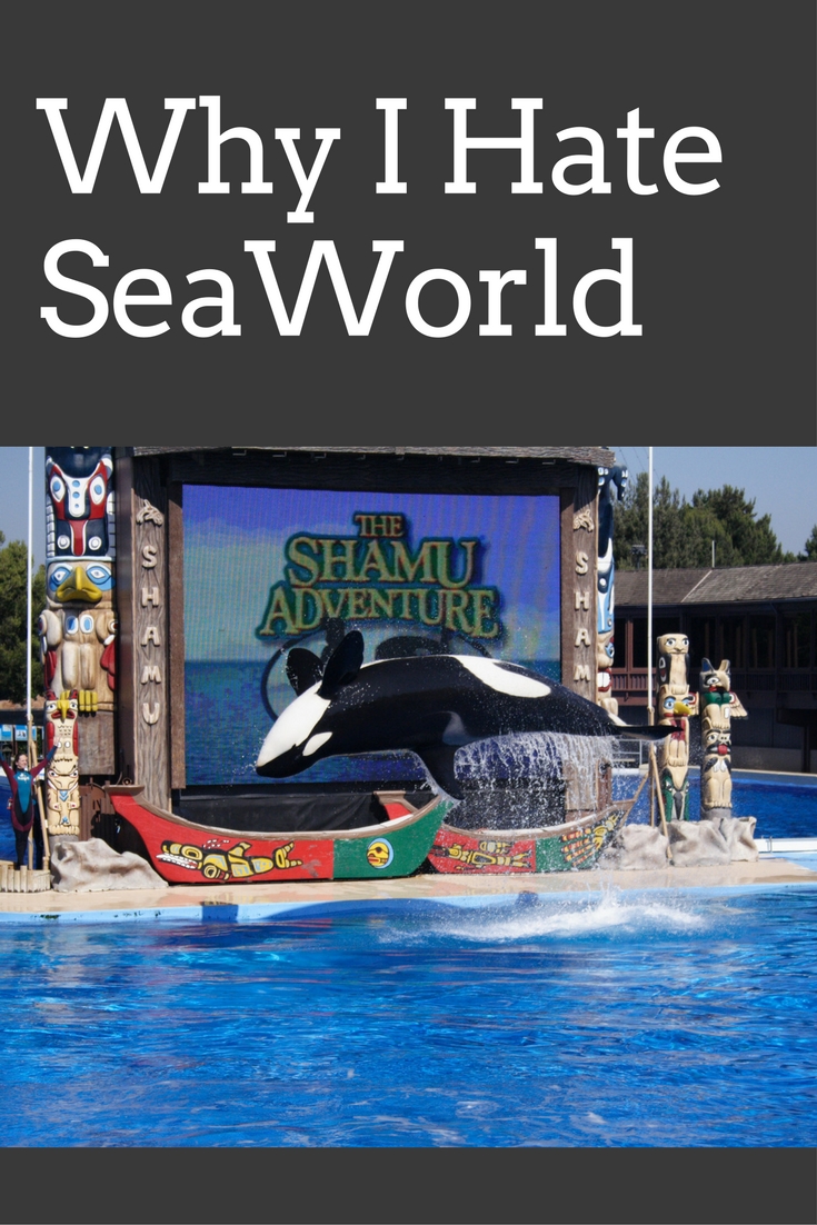 Why I Hate SeaWorld