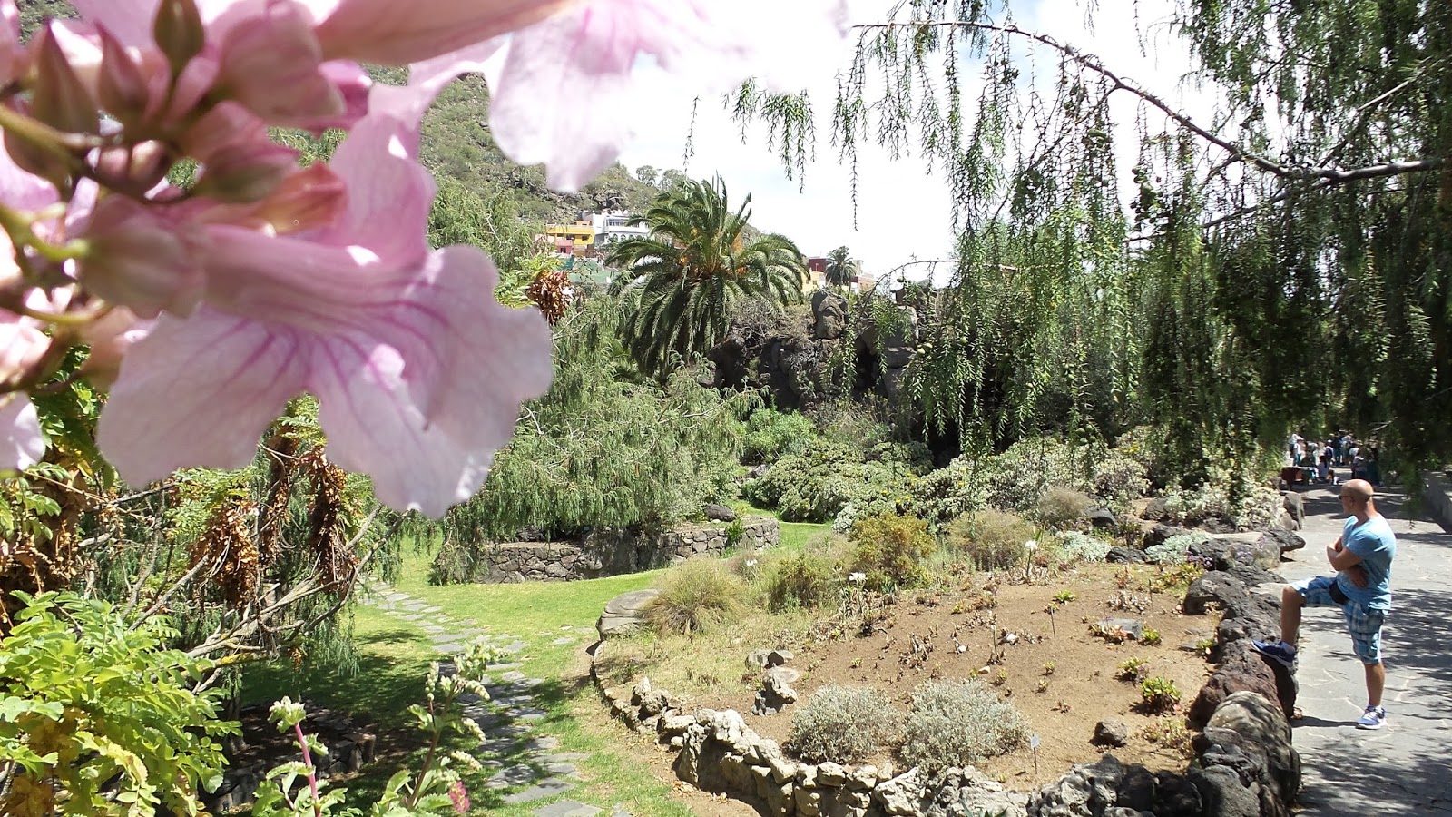 Jardín Botánico Canario Bilder 1 Bilder 2 Bilder 3 Bilder 4 Bilder 5