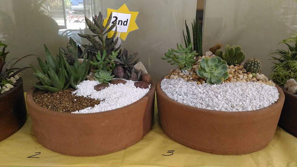 Practical landscaping students showcase dish garden artistry UEDC UPDATES