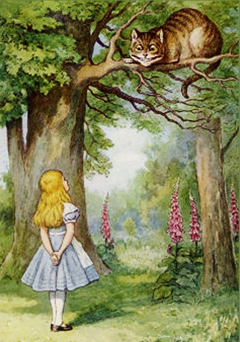 ShukerNature: THE SMILE ON THE FACE OF THE CHESHIRE CAT