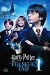 Harry Potter (Serisi)