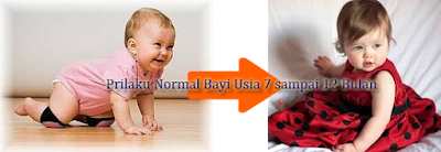 http://selingankerja.blogspot.co.id/2016/03/prilaku-normal-bayi-usia-7-12-bulan.html