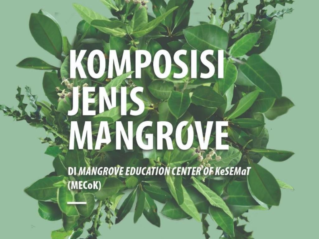 IKAMaT Segera Release Buku Komposisi Jenis Mangrove di MECoK, Jepara
