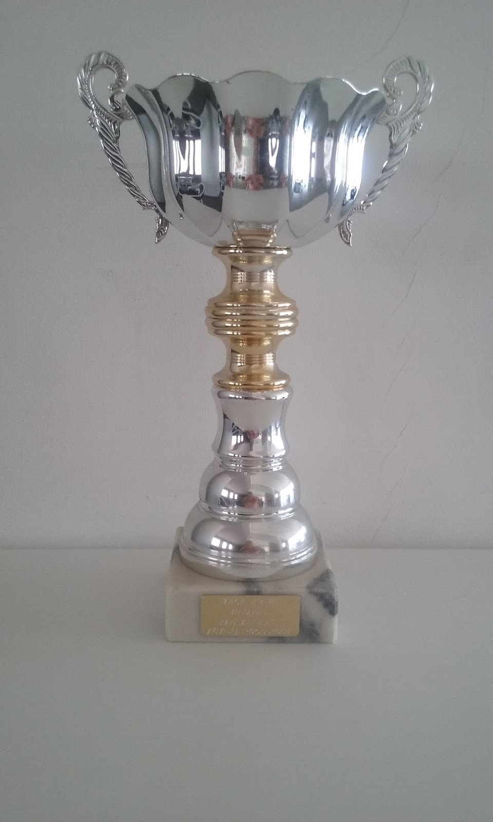 TAÇA  A.F.B. 2000-2001