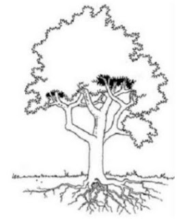 Contoh Psikotes Gambar Pohon Berkambium yang Benar
