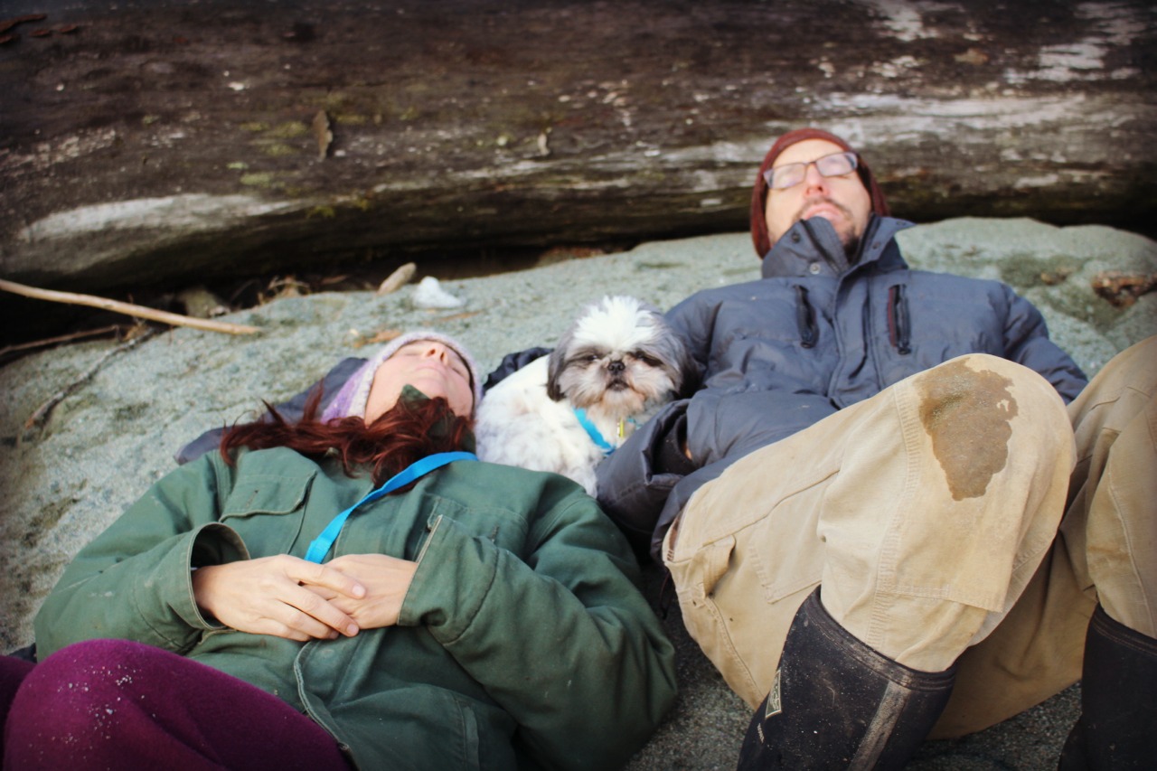 Marblemount Homestead Where did all the little collars go? Check in