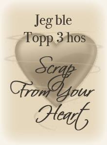 Top 3 at Scrap from your heart