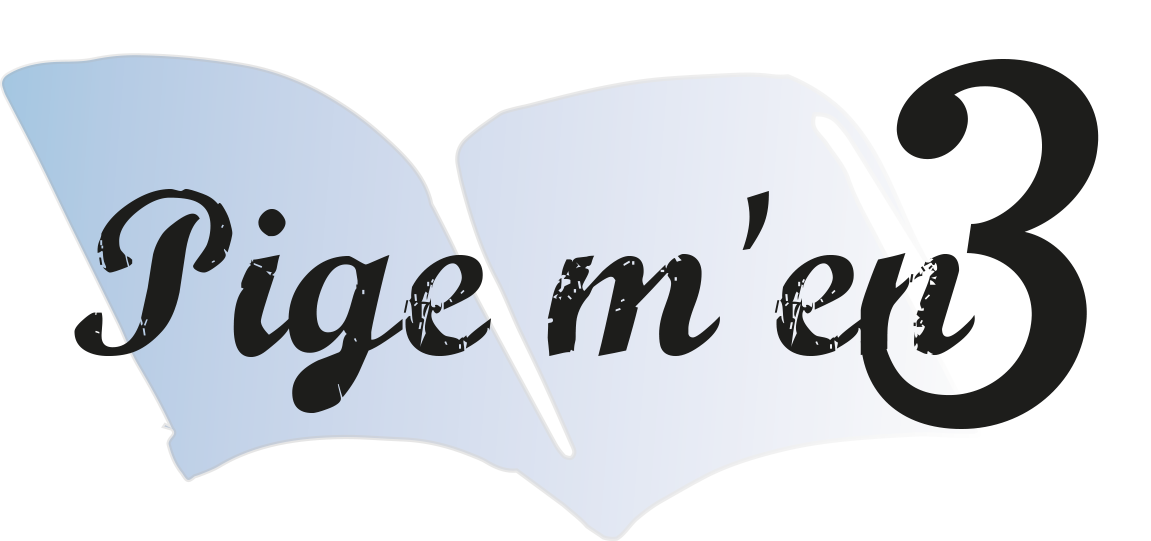 Escapade Féerique Insaisissable, tome 1 Ne me touche pas Tahereh Mafi